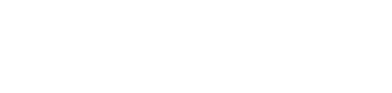Solidus 3D Modeling